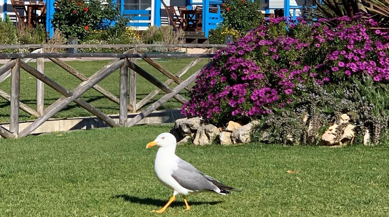 Costa Do Vizir Beach Village بورتو كوفو المظهر الخارجي الصورة